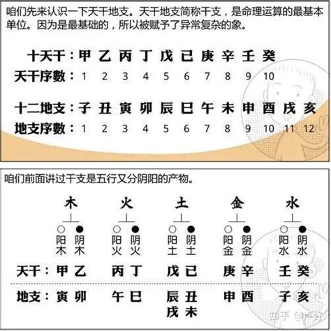 1997 天干地支|按天干地支的纪年法，1997年应是什么年